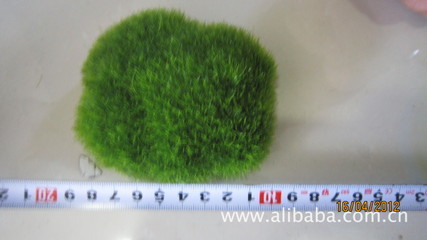 石頭-植絨石頭-禮品、工藝品、飾品-求購產品詳情